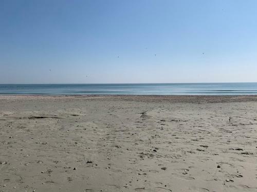 Apartamento Blue Marin Mamaia Nord