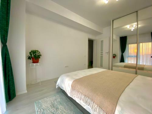 Brand New Beachfront Apartment