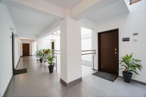 Apartamento Lounge 8 Studios