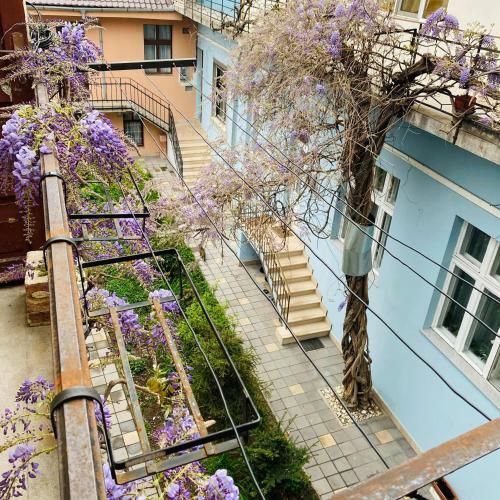 Apartament Debonton