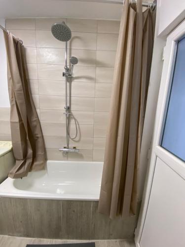 Apartament House Sasca