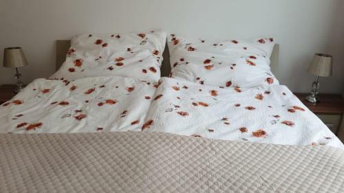 Apartament Lidia