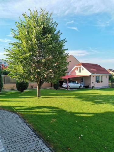 Casuta Cu Tei-lime House