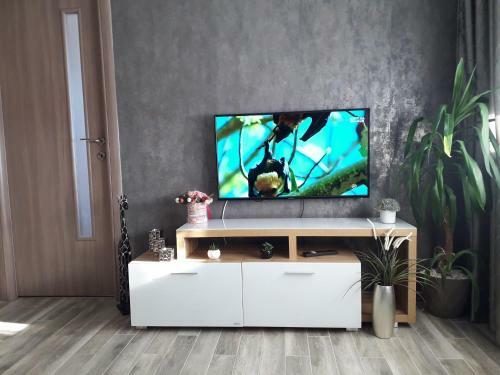 Holiday Apartment