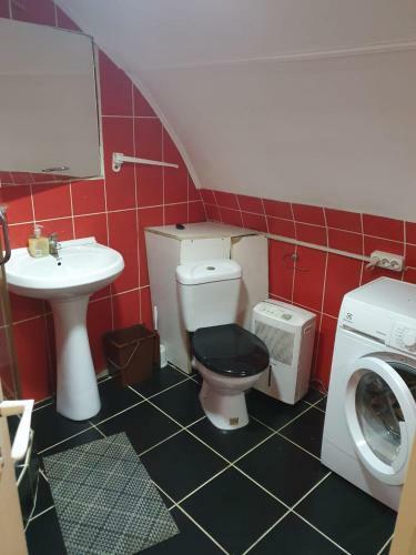 Apartamento B�rlogul Ursului