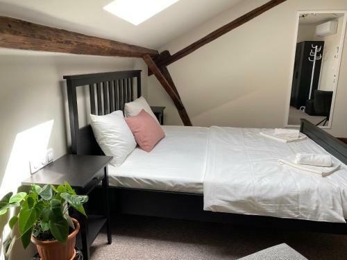 Hostal Theater Guesthouse With Parking