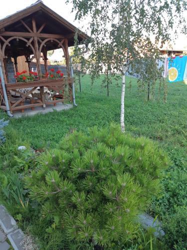 Bed & Breakfast Ibolya-imola(ungv�ri)
