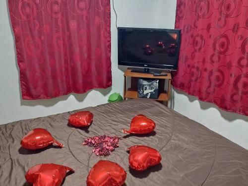 Glamping, Nido Tortolitos