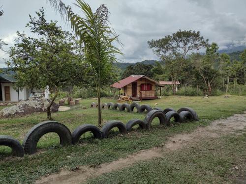 Glamping, Nido Tortolitos