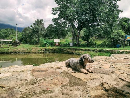 Glamping, Nido Tortolitos