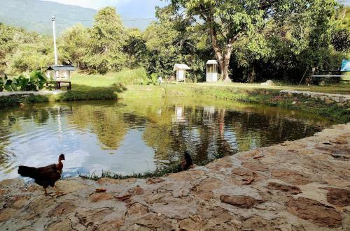 Glamping, Nido Tortolitos