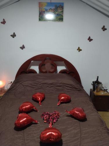 Glamping, Nido Tortolitos