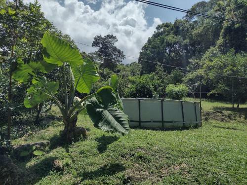 Glamping, Nido Tortolitos