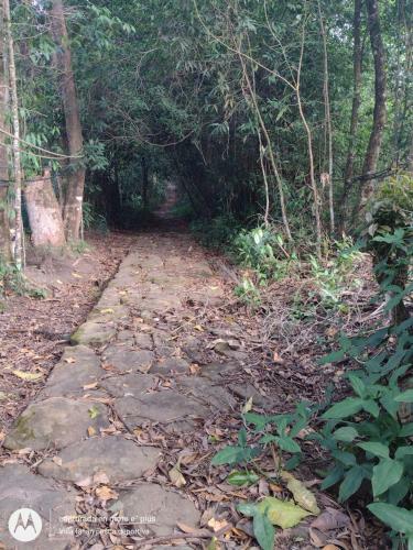 Glamping, Nido Tortolitos
