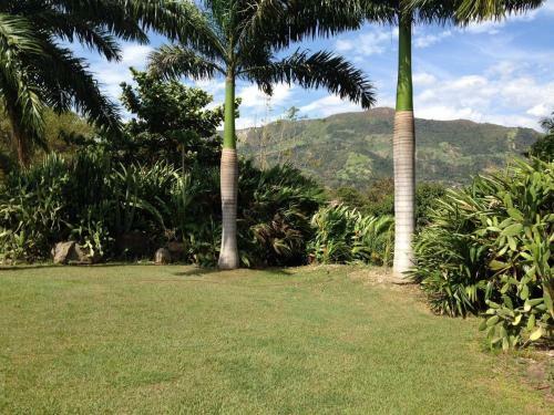 Casa En Payand� - Villeta