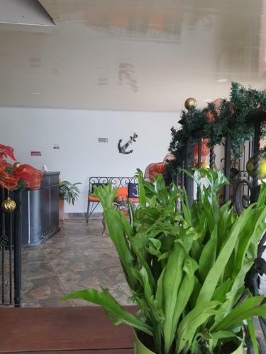Hotel Campestre El Ancla