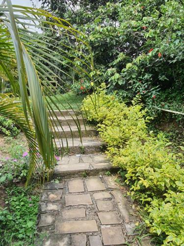 Hotel Campestre El Ancla