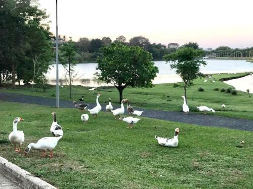 Ch�cara De Condom�nio Com Piscina Em Indaiatuba