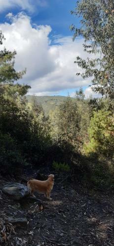 El Chalet De El Refugio De La Loma