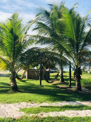 Bed & Breakfast Bella Gamboa Casa De Praia !gamboa