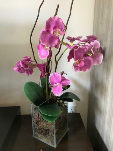 Est�dio Privado Pr�ximo � Blumenau