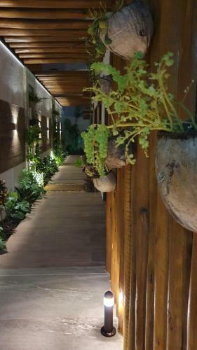 Hostal Su�tes Jardins De Flecheiras