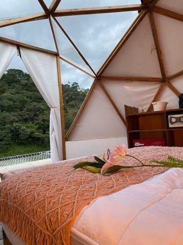 The Birder Glamping Boutique