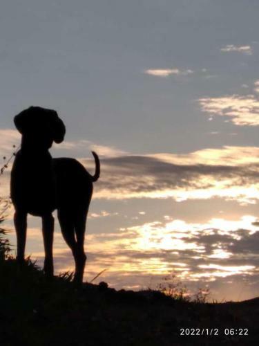 Isabella De La Monta�a Glamping