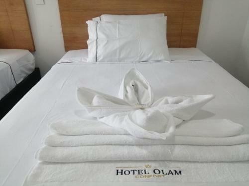 Posada Hotel Olam Confort
