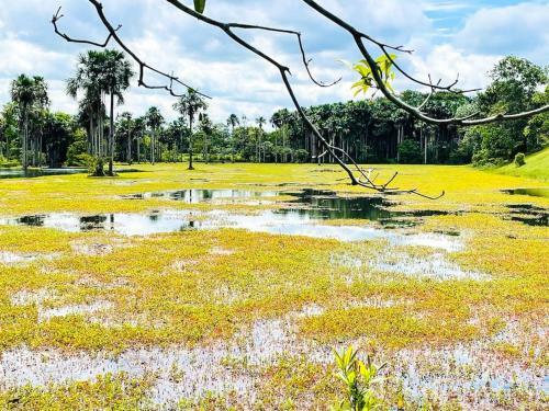 Encantadora, Casa Campestre Cerca A Villavicencio