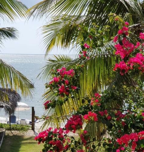 P� Na Areia