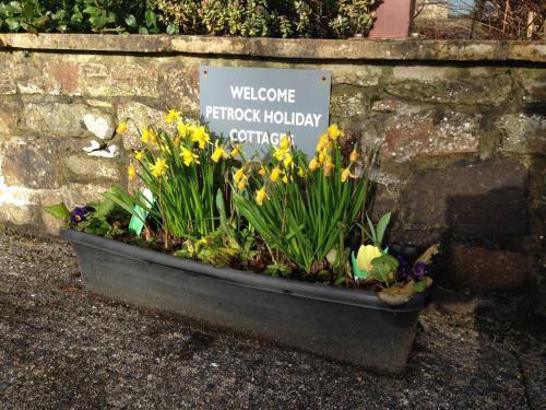 Petrock Holiday Cottages