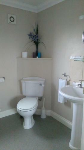 Acer Lodge Bed & Breakfast