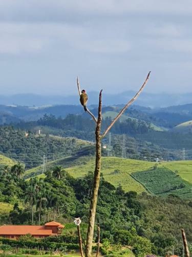 Sitio Aconchego Verde Guararema
