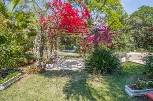 Sitio S� Alegria Wi-fi 200mb