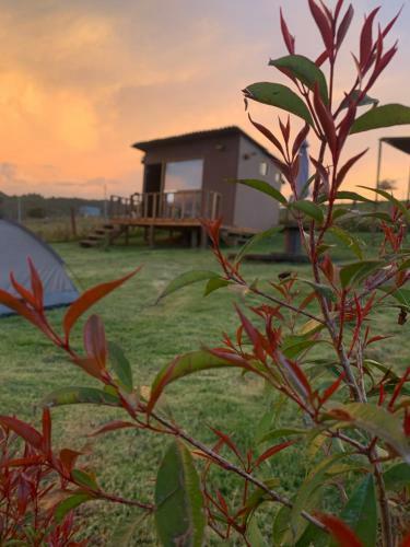 Caba�a La Calera Finca Bellavista