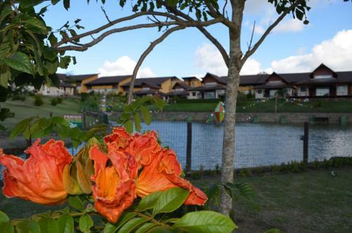 Apartamento Winterville Flat Gravat�