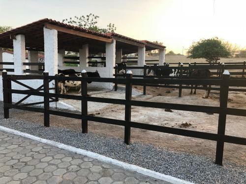 Apartamento Flat 601 Villa H�pica Resort - Gravat�, Pe