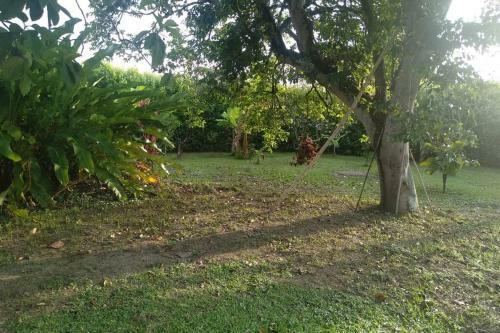 Acogedora Finca -la Mona-