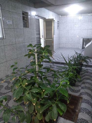 Pousada Guarulhos