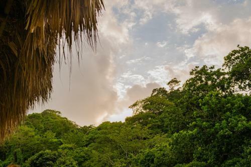 Hostal Mirador Del Bosque Tayrona