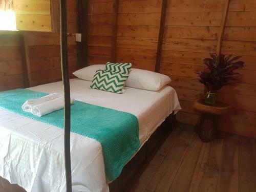 Posada Eco Hostal Monolandia