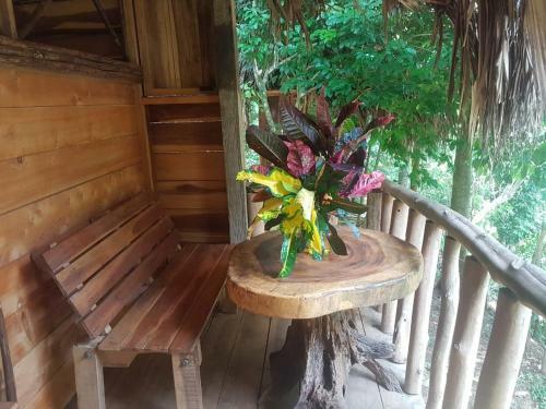 Posada Eco Hostal Monolandia