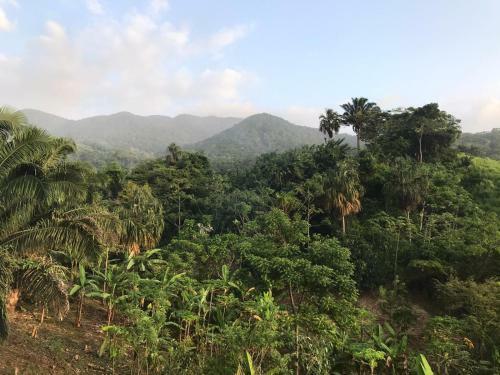 Lodge The Valley Tayrona-private Caba�as