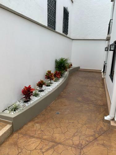 Apartamento Tu Casa En Popay�n