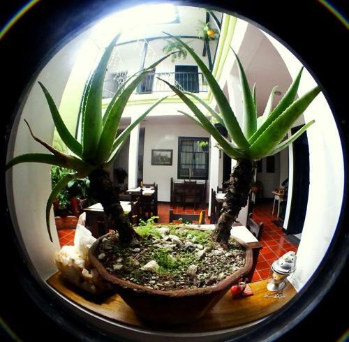 Hostal Hotel Belen