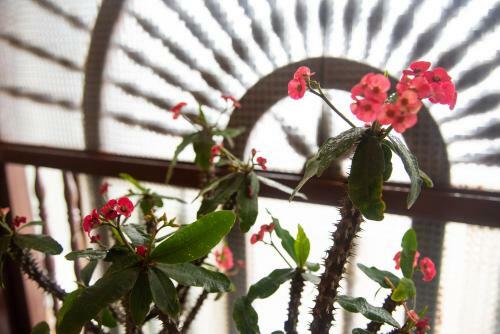 Hotel Lili - Popay�n