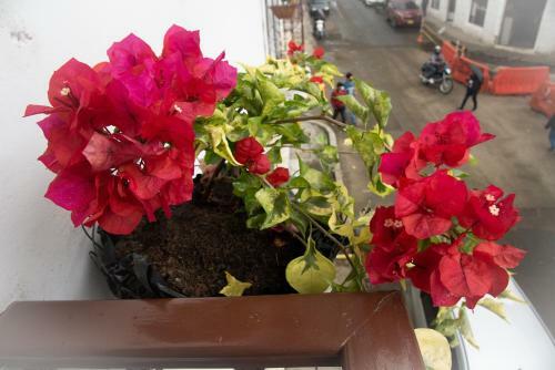 Hotel Lili - Popay�n