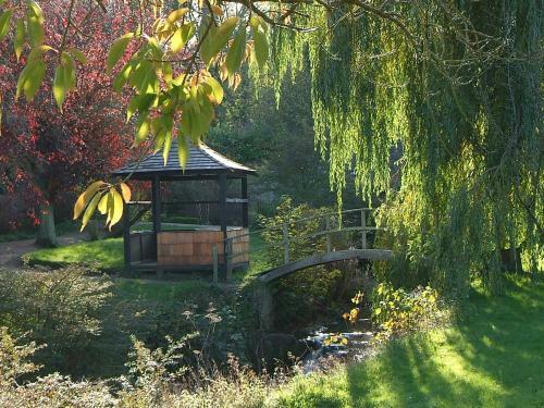 Hostal Cambo House