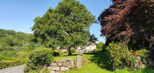 Bed & Breakfast Eastwrey Barton